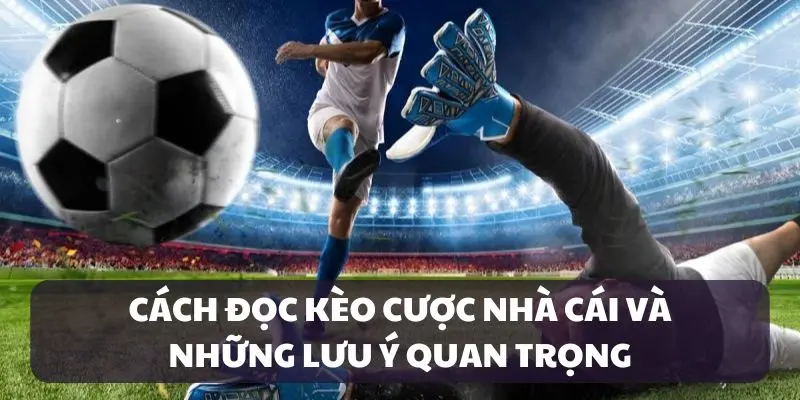 Hướng dẫn cách đọc kèo sao cho chuẩn chỉnh nhất